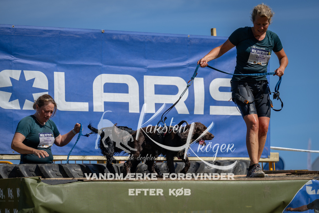 1150_ZZ92627 | kk-dogfotos