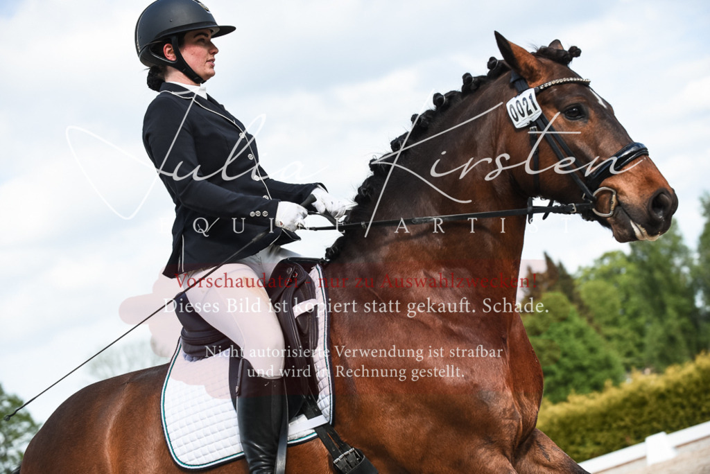 20230518_JK-Röhrsdorf-12-0524 | Pferde- und Turnierfotografie in Westsachsen. Pferdeportraits, Auftragszeichnungen und intuitive Kunst.