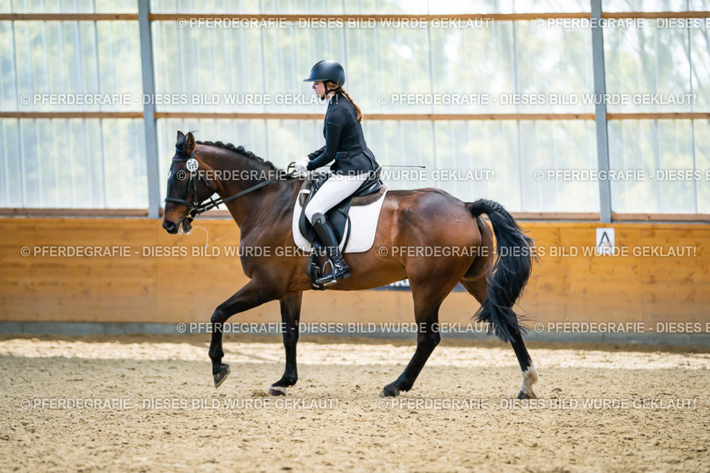 DSC05688 | Pferdegrafie