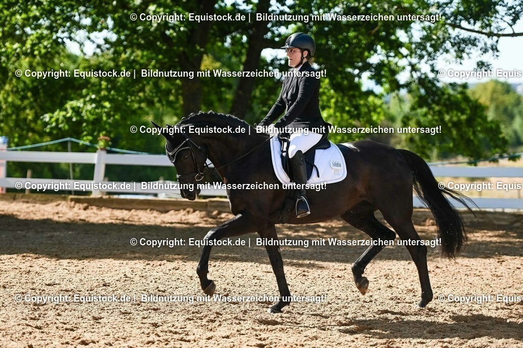 20230715_06_Dressurpferdeprfg. Kl.A_0339 | equistock