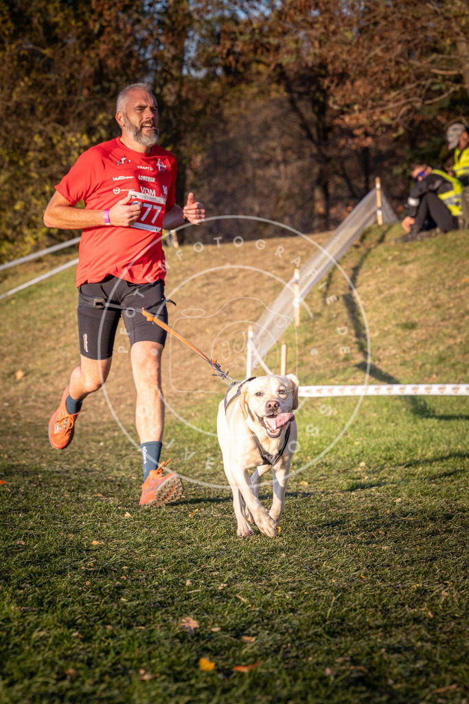 CaniXpix_0L8A1152 | Hundefotografie, Tierfotograf, Pfotenfotografie, Fotoshooting Hund, Hunde Portrait, Hundesport, Hundeportraits, Heideshooting, Hunde, Sportfotograf, Hundefotograf, Turnierhundsport, THS,  - Realisiert mit Pictrs.com