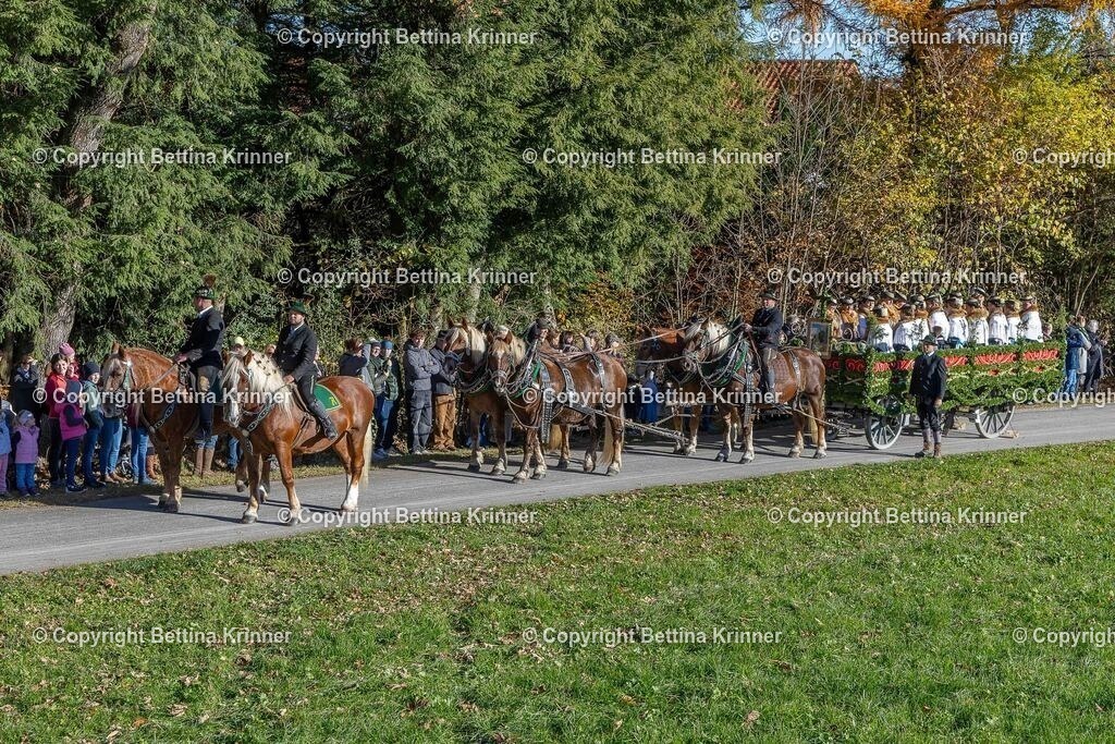 LBT25-234 | foto-bettina-krinner - Realisiert mit Pictrs.com