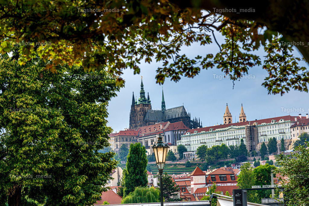 A7506236 | tagshotsmedia - Realisiert mit Pictrs.com