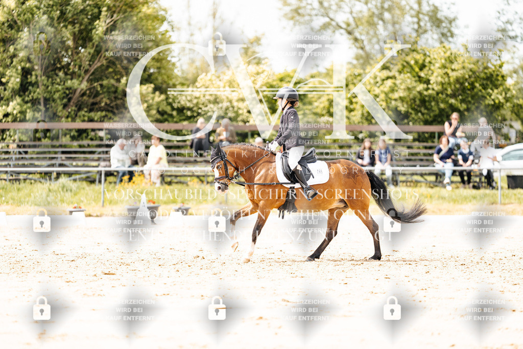 CK902399 | Turnierfotografie Pferdefotografie Trier Rheinland-Pfalz Pferdesport Reitsport Tierfotografie Sportfotografie Pferdevideo Pferdevideografie Equestrianvideography equestrianphotography  - Realisiert mit Pictrs.com