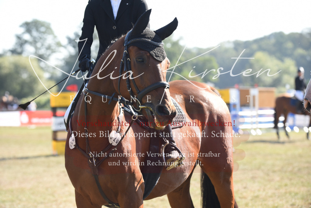 DSC_5468 | Pferde- und Turnierfotografie in Westsachsen. Pferdeportraits, Auftragszeichnungen und intuitive Kunst.
