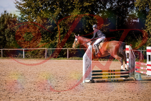 2026_10_03_Siefer-Hof_155525_Z81_74691535 | Professionelle Reitsport-, Turnier- und Eventfotografie von Robert Broda. Galerien mit ausgewählten und bearbeiteten Bildern direkt online ansehen und bestellen.