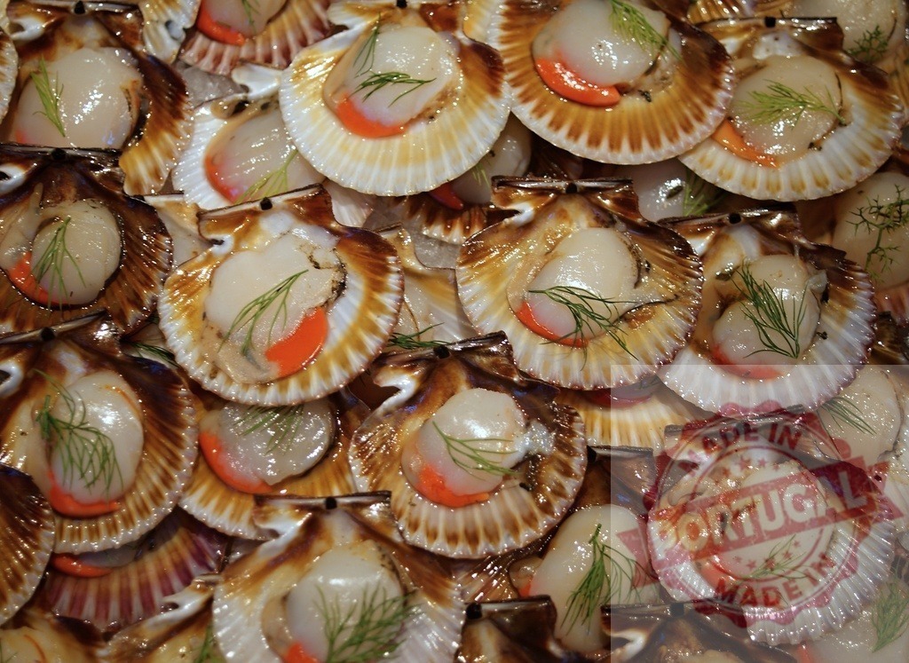 Fresh raw scallops with dill on ice | Scallops in shells with dill at a seafood market display - Realized with Pictrs.com