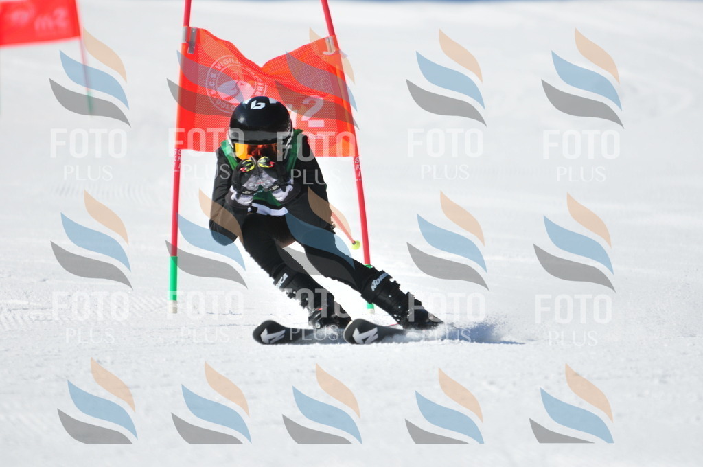 C3813 | holidayphoto