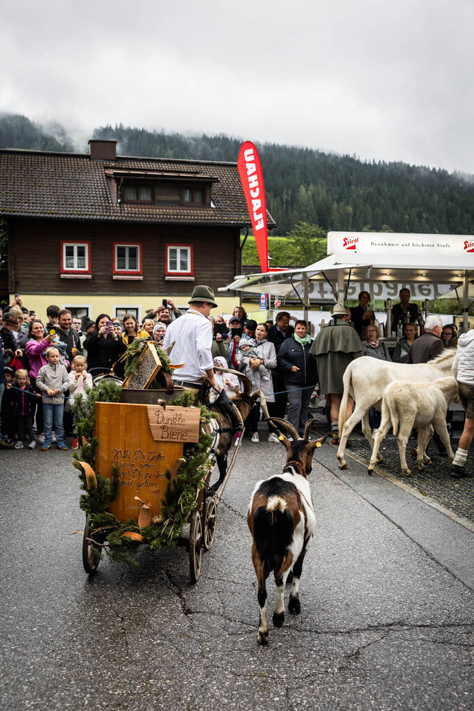 Rupertifest_Flachau_2k25_Webauflösung-327 | Bildershop Chri Fischbacher - Realisiert mit Pictrs.com