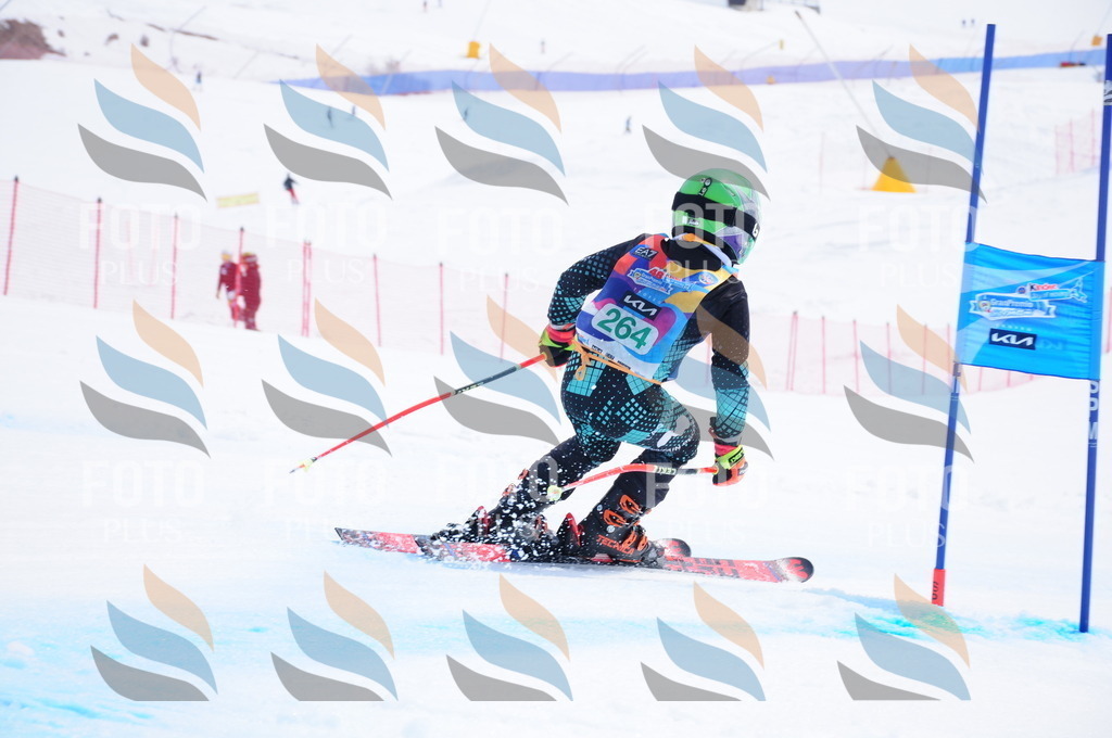 DSC_2524 | holidayphoto