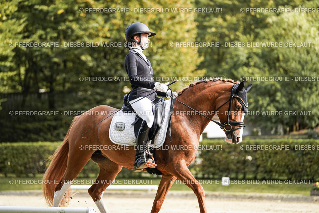 DSC05968 | Pferdegrafie