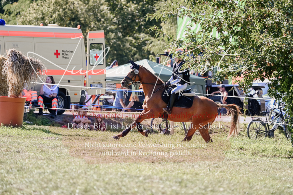 DSC_2992 | Pferde- und Turnierfotografie in Westsachsen. Pferdeportraits, Auftragszeichnungen und intuitive Kunst.