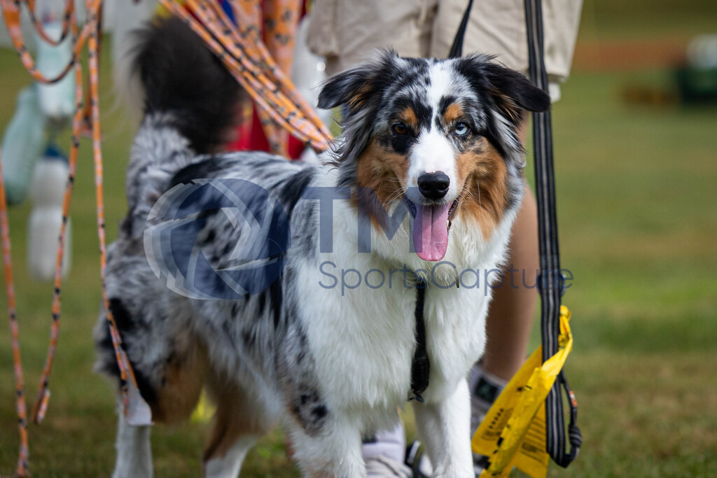 TP-20240815-0078 | Copyright: Trainproduction / Matthias Trinkl