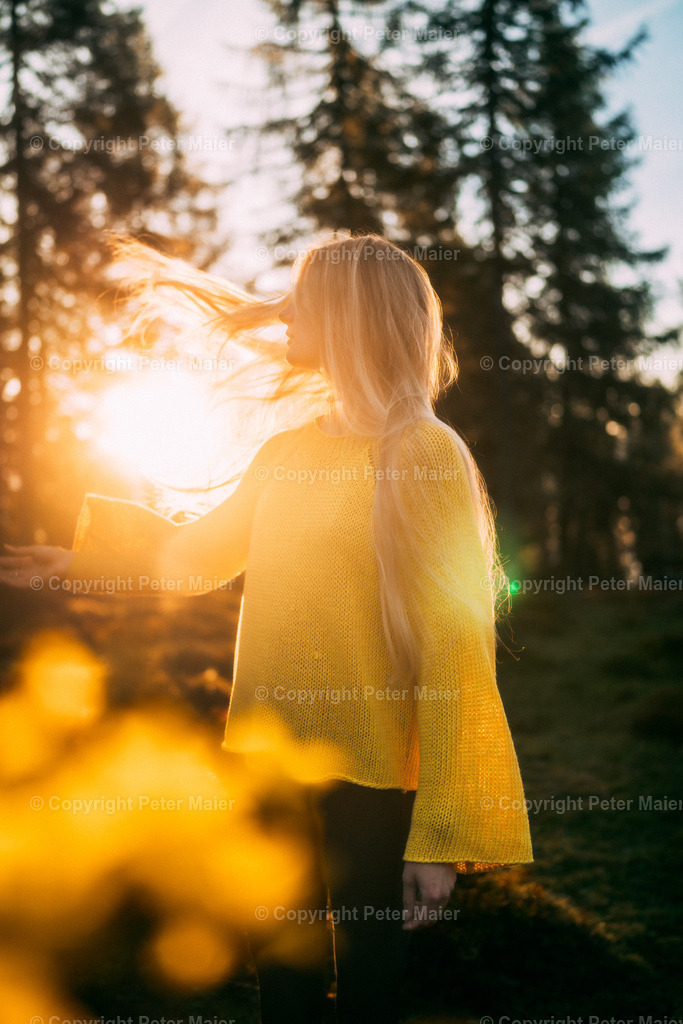 Roana_Alm_Herbststimmung_Erlebnisraum_Wald_23_Peter_Maier-92 | piet_flosse