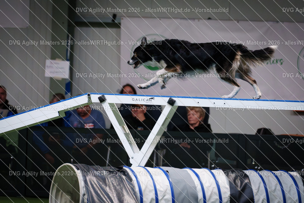 allesWIRTHgut_Tierfotografie-DVG_Agility_Masters_2026-16_51-7R508845 | Professionelle Tierfotografie in Mönchengladbach von Daniel Wirth (allesWIRTHgut). Liebevolle & natürliche Bilder von Hunden & Katzen für unvergessliche Erinnerungen.