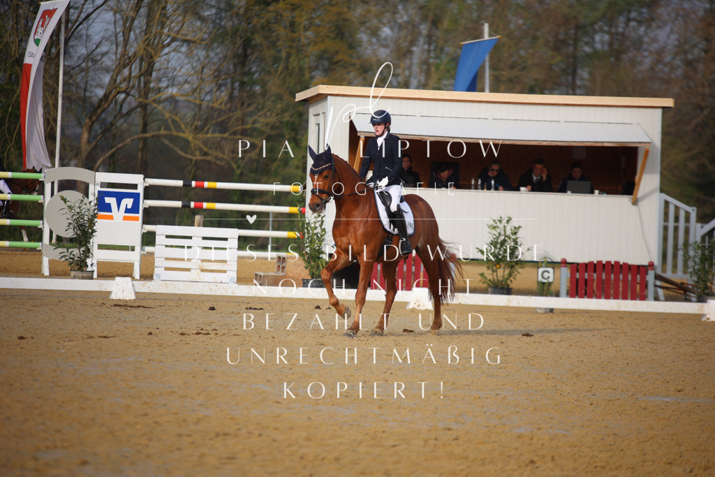 IMGT8381 | pl-fotografie