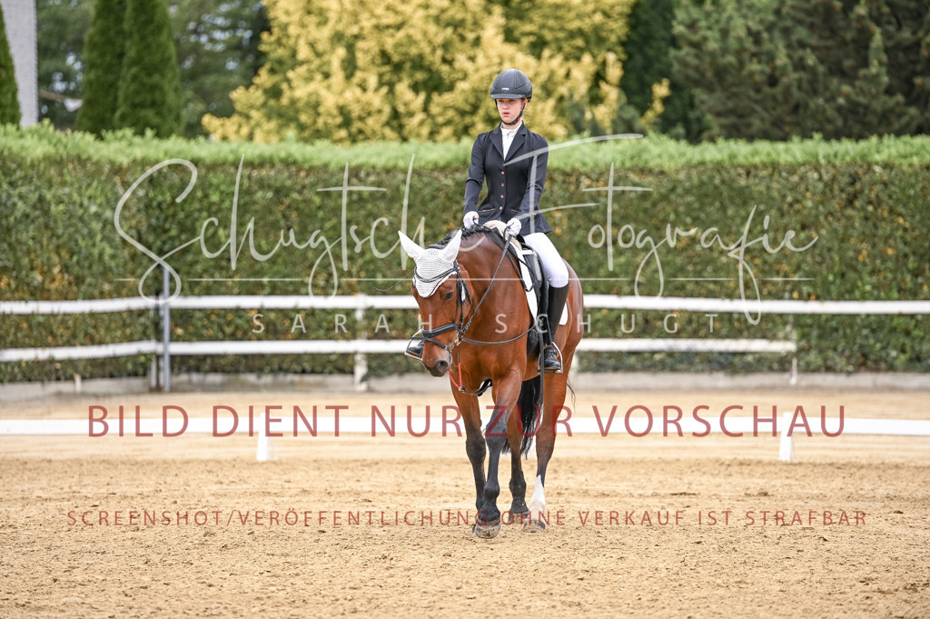 Schugtsche-Aluta25-44.DresssurreiterWB-203 | Schugtsche Fotografie - Realisiert mit Pictrs.com