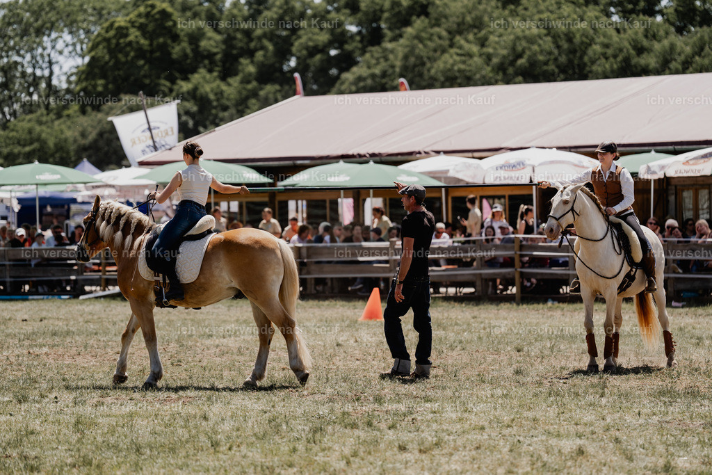 _DSC6972 | working equitationturnier fotograf videograf stoibphotography marixx film working equitation deutschland reitsport turnierfotografie eventfotografie equestrian events
