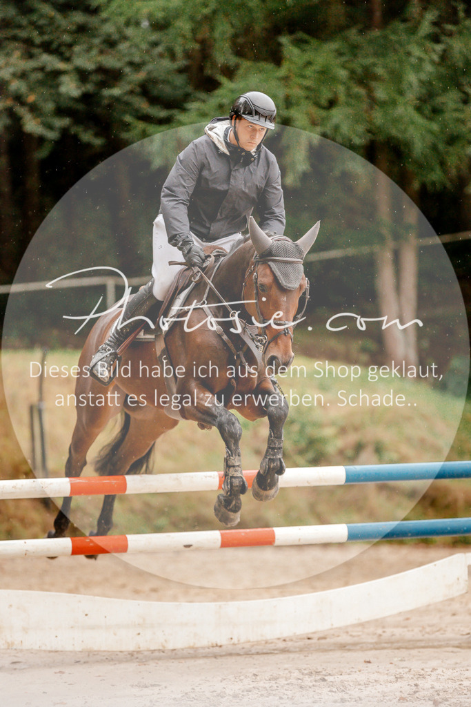 3I6A5916 | Stimmungsvolle Portraits und Reitsportfotografie im Ruhrgebiet und im Münsterland.

Pferdefotografie, Hundefotografie, Tierfotografie, Reportagen, Portraits von Tier und Mensch, Turnierfotografie in Bochum, Recklinghausen, Marl, Haltern am See, Dülmen.. - Realisiert mit Pictrs.com