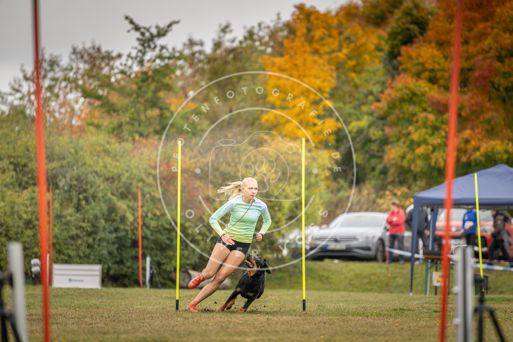 Pfotenfotografie_DV3A4137 | Hundefotografie, Tierfotograf, Pfotenfotografie, Fotoshooting Hund, Hunde Portrait, Hundesport, Hundeportraits, Heideshooting, Hunde, Sportfotograf, Hundefotograf, Turnierhundsport, THS,  - Realisiert mit Pictrs.com