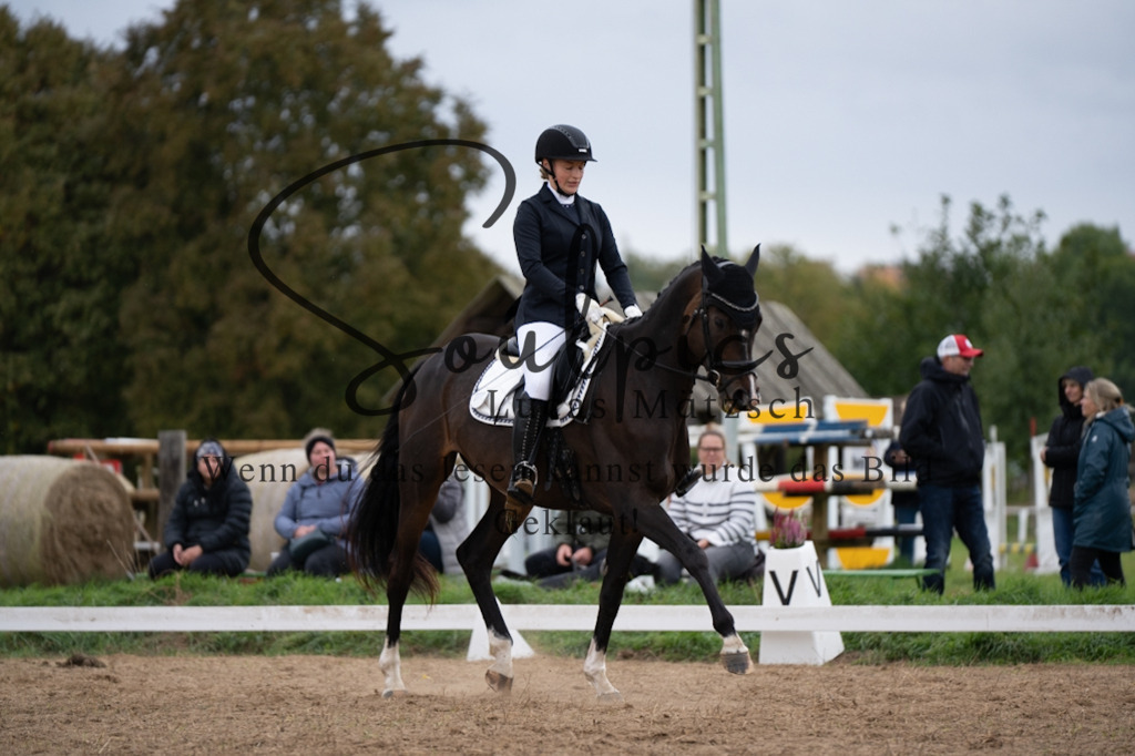 A7V05492 | Pferdefotograf