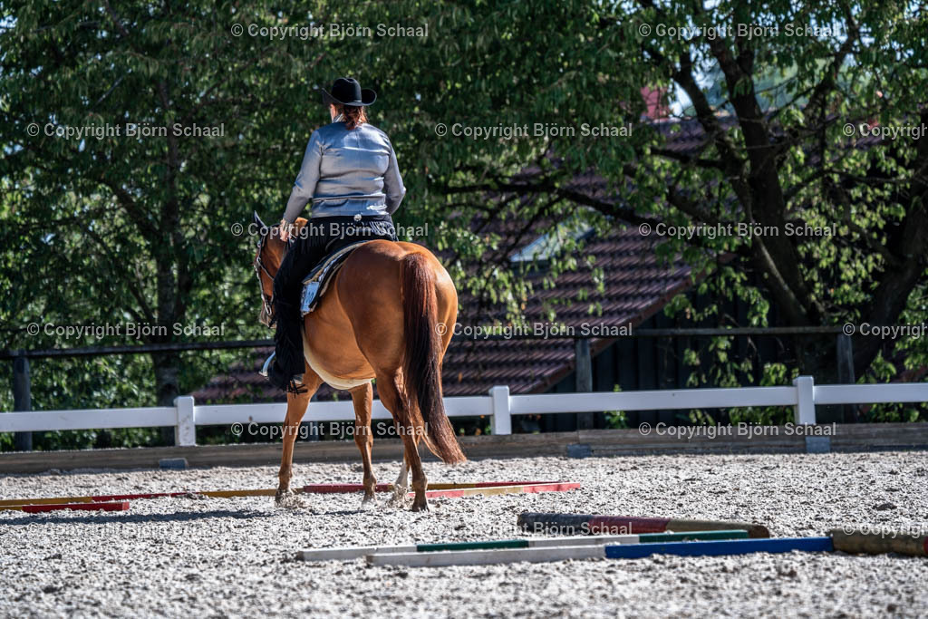 HOB00587 | BS-foto