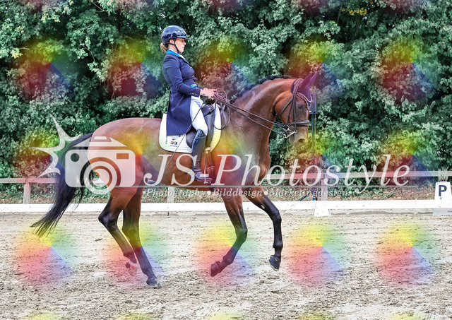 20250727_Dressurprfg_Kl.Sx_Kür-59 | JS-Photostyle - Sport-/Portrait- & Eventfotografie