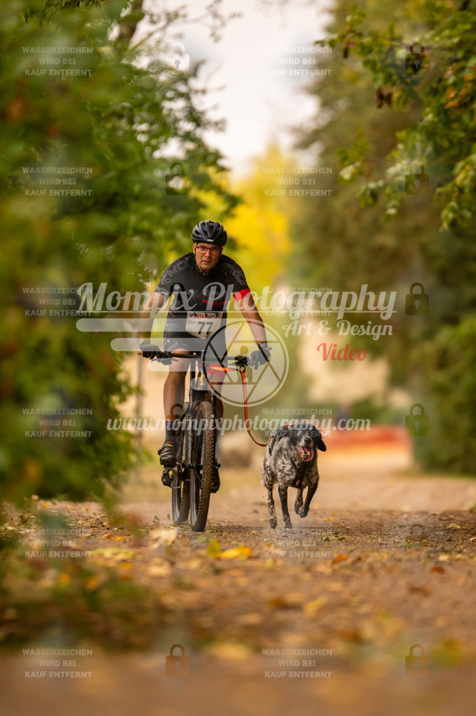 CDLBDB_14_10_2023_Samedi-106 | PayLife