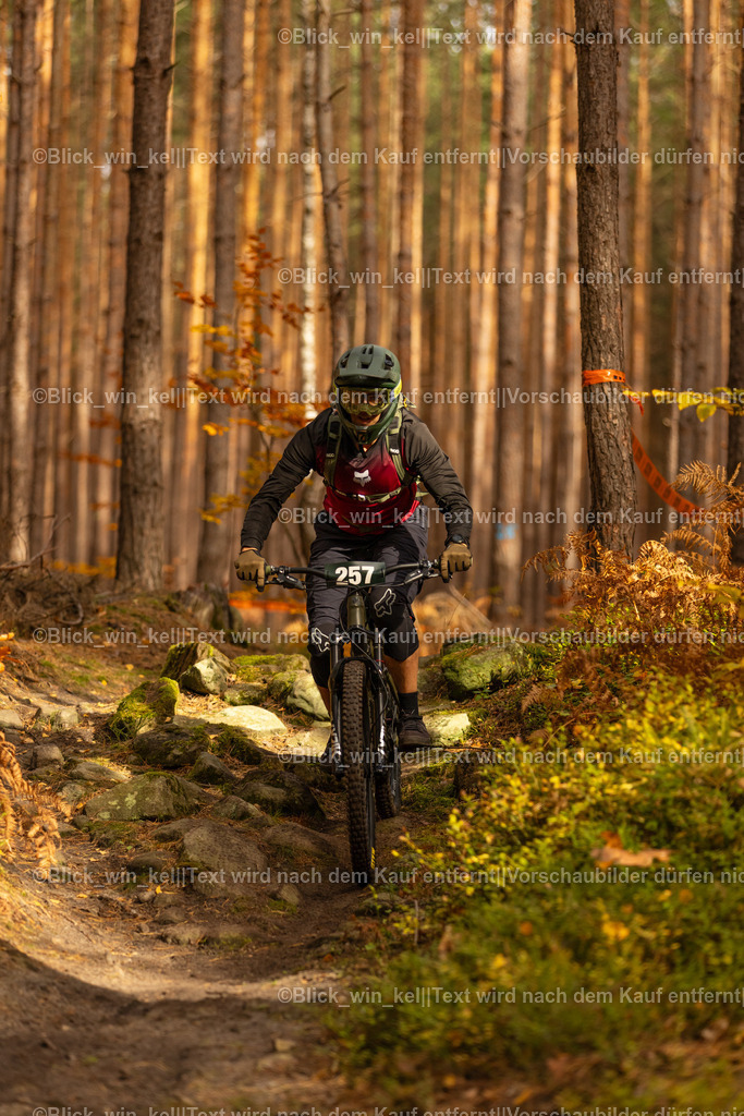 E68A2896 | blick_win_kel