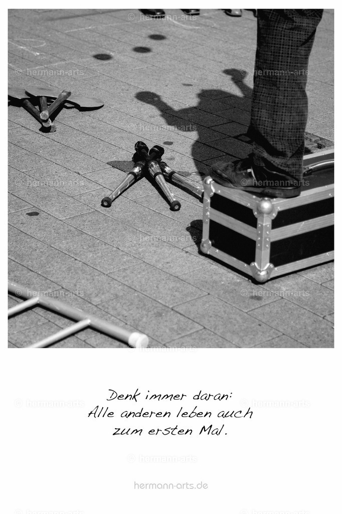 PK_Zitate_10x15_BW-087 | Photo Foto Kunst Art schwarzweiss Bilder Rheine Münster Berlin Blumen 