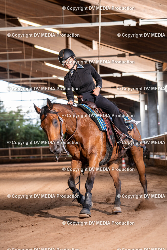 Erbach Tag 2-957 | dv-media-shop - Realisiert mit Pictrs.com