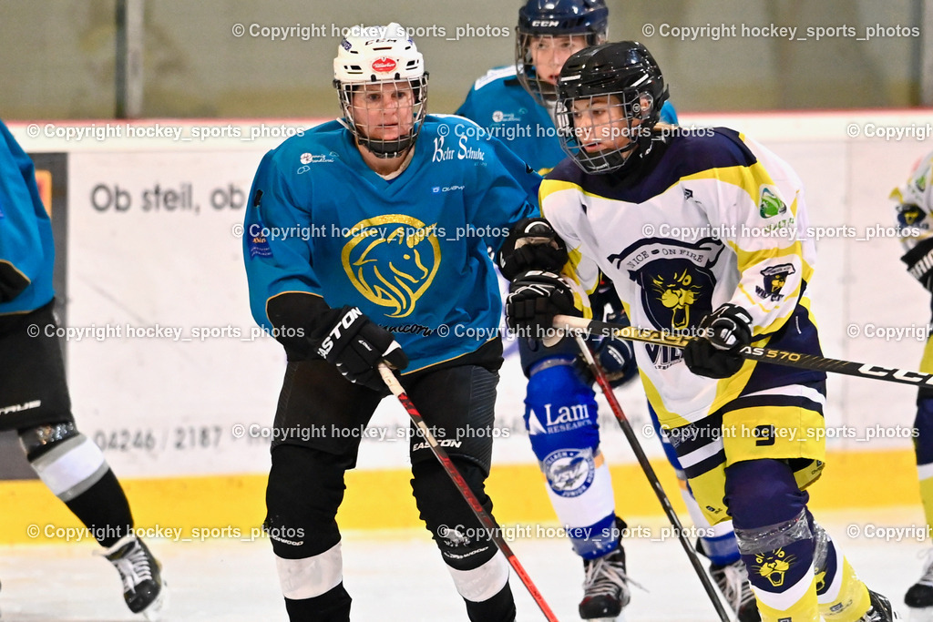 BST_6459 | hockey sports photos, Pressefotos, Sportfotos, hockey247, win 2day icehockeyleague, Handball Austria, Floorball Austria, ÖVV, Kärntner Eishockeyverband, KEHV, KFV, Kärntner Fussballverband, Österreichischer Volleyballverband, Alps Hockey League, ÖFB, 