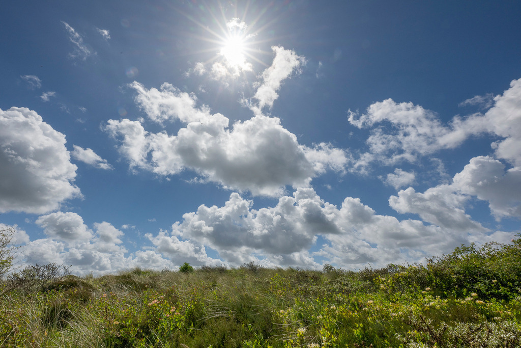 260609_Texel_0626_mr | Entdecke exklusive Fotografie im muebri Shop: Stimmungsvolle Motive  Naturaufnahmen und mehr. Jetzt hochwertige Wandbilder und Fotoabzüge online kaufen! - Realisiert mit Pictrs.com