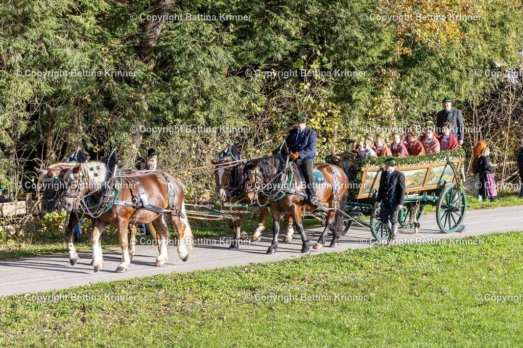 LBT24-115 | foto-bettina-krinner - Realisiert mit Pictrs.com