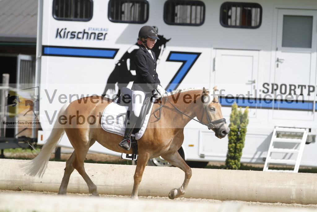 _MG_0479 | equestrian-live-com