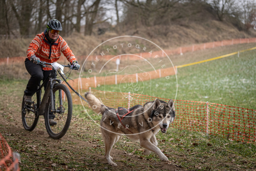 Pfotenfotografie_DV3A6319 | Hundefotografie, Tierfotograf, Pfotenfotografie, Fotoshooting Hund, Hunde Portrait, Hundesport, Hundeportraits, Heideshooting, Hunde, Sportfotograf, Hundefotograf, Turnierhundsport, THS,  - Realisiert mit Pictrs.com