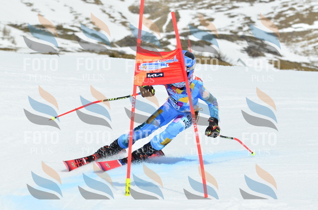 _ELE2748 | holidayphoto