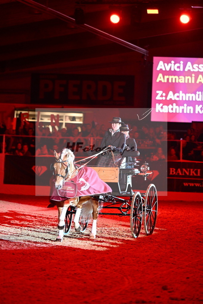 DSP_Avici_As_Karosser_2254577 | hf-fotografie - Realizzato con Pictrs.com