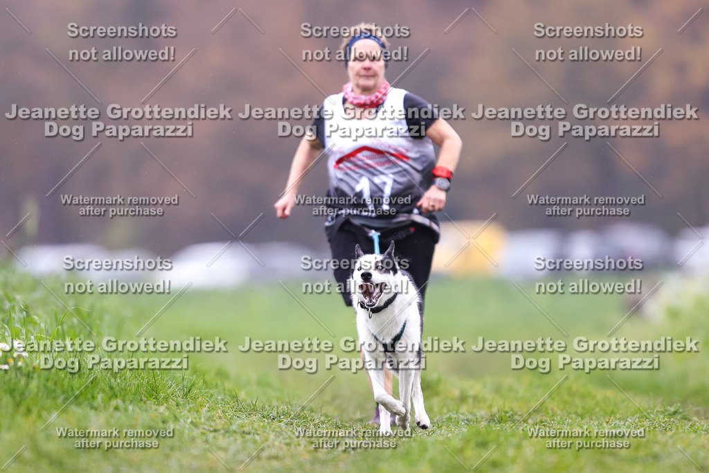 Dog Paparazzi - Visbeck 25 -822 | Dog Paparazzi Jeanette Grottendiek Fotografie & Videografie - Realisiert mit Pictrs.com