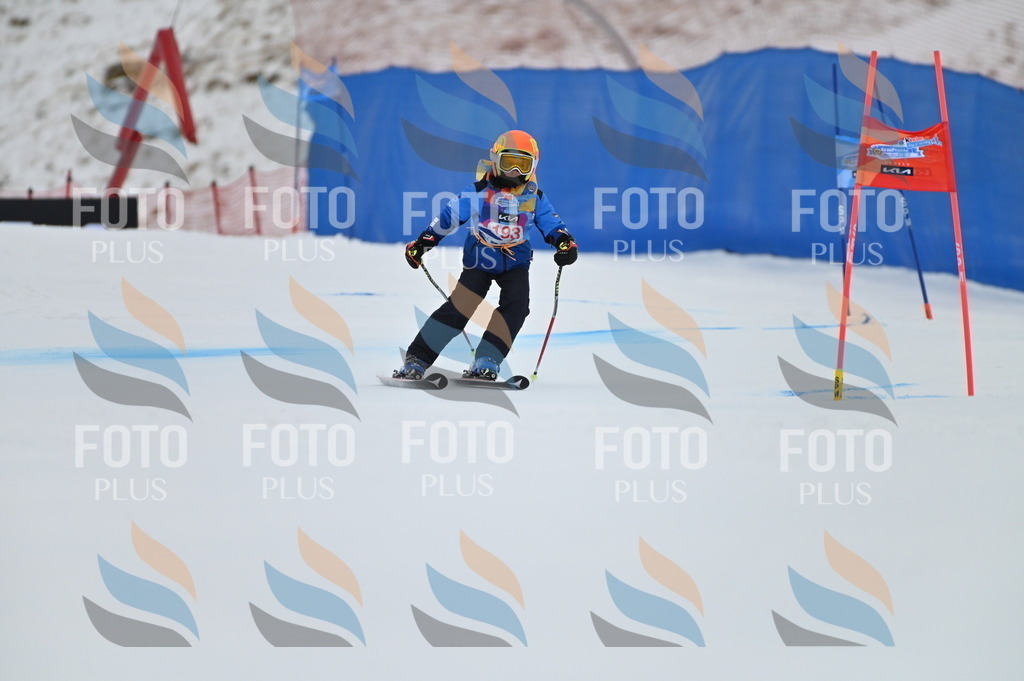 BGV_1551 | holidayphoto