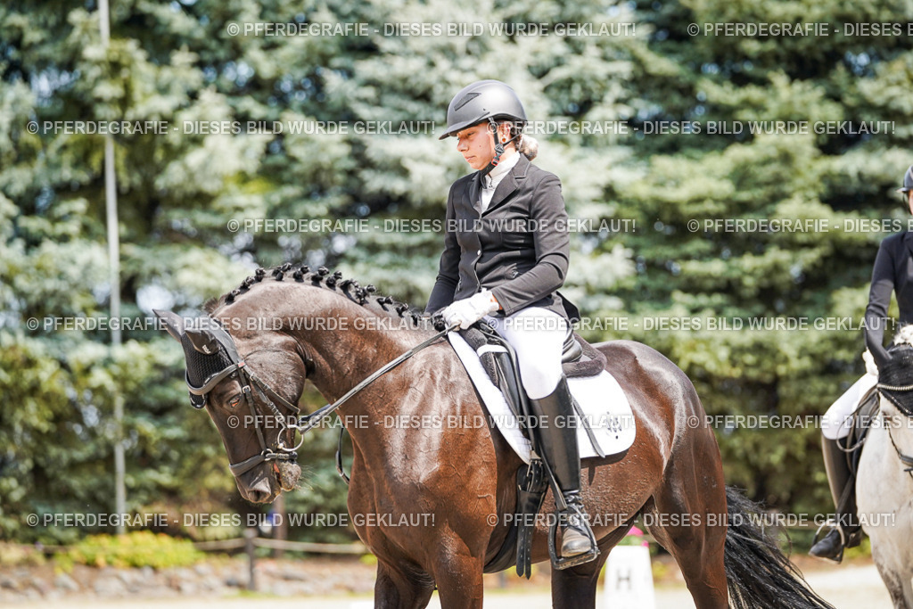 DSC03449 | Pferdegrafie