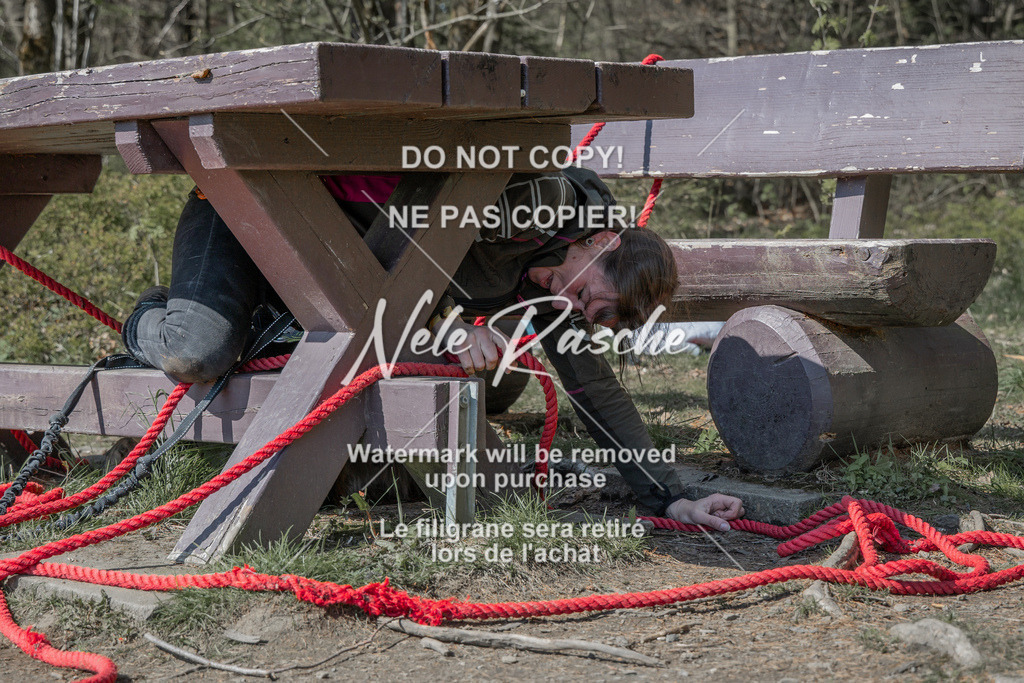 NR__0097 | nelerasche