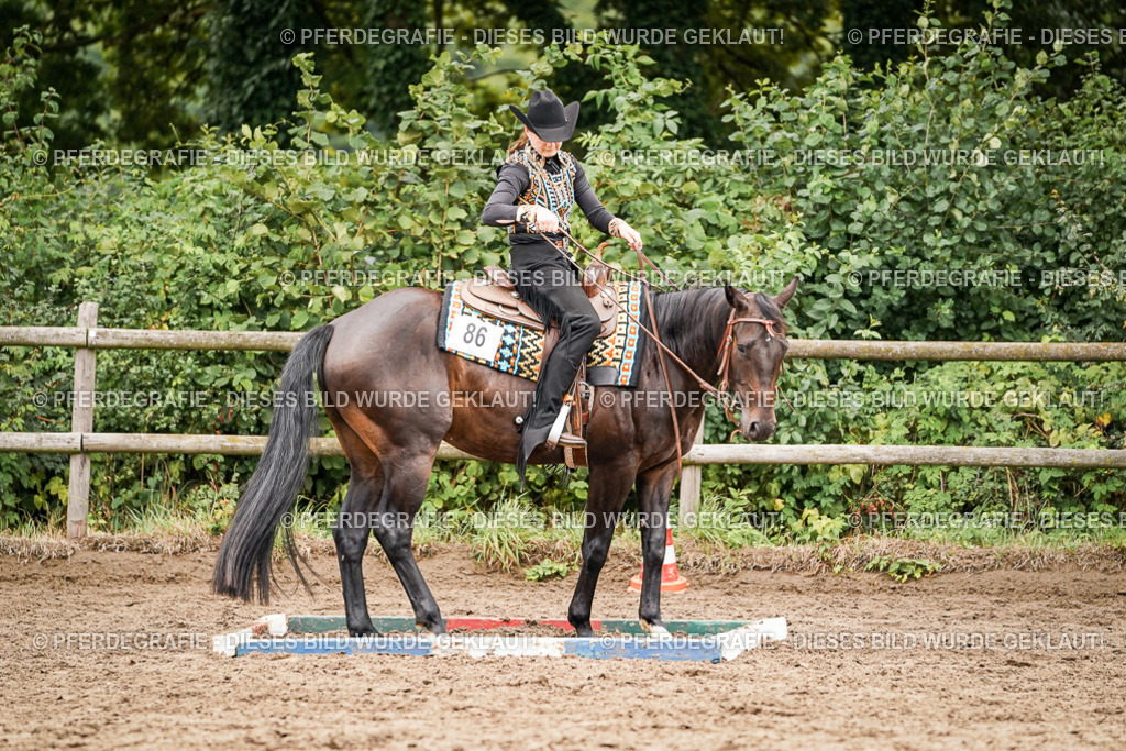 DSC04319 | Pferdegrafie