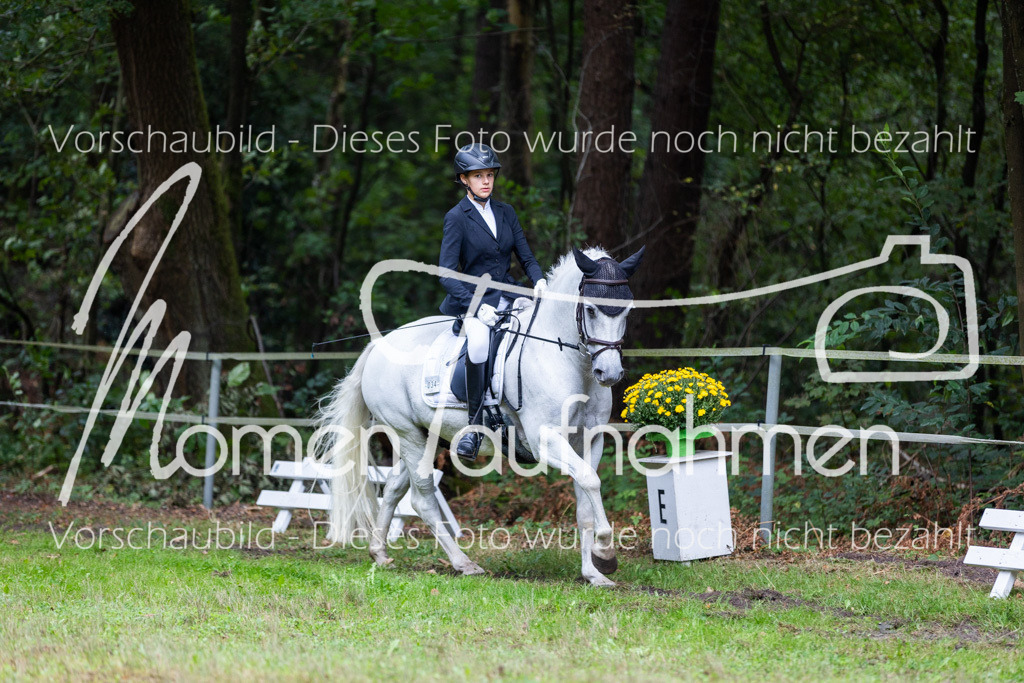 HB-A-Dressur-097 | MomenTaufnahmen Pferdesportfotos