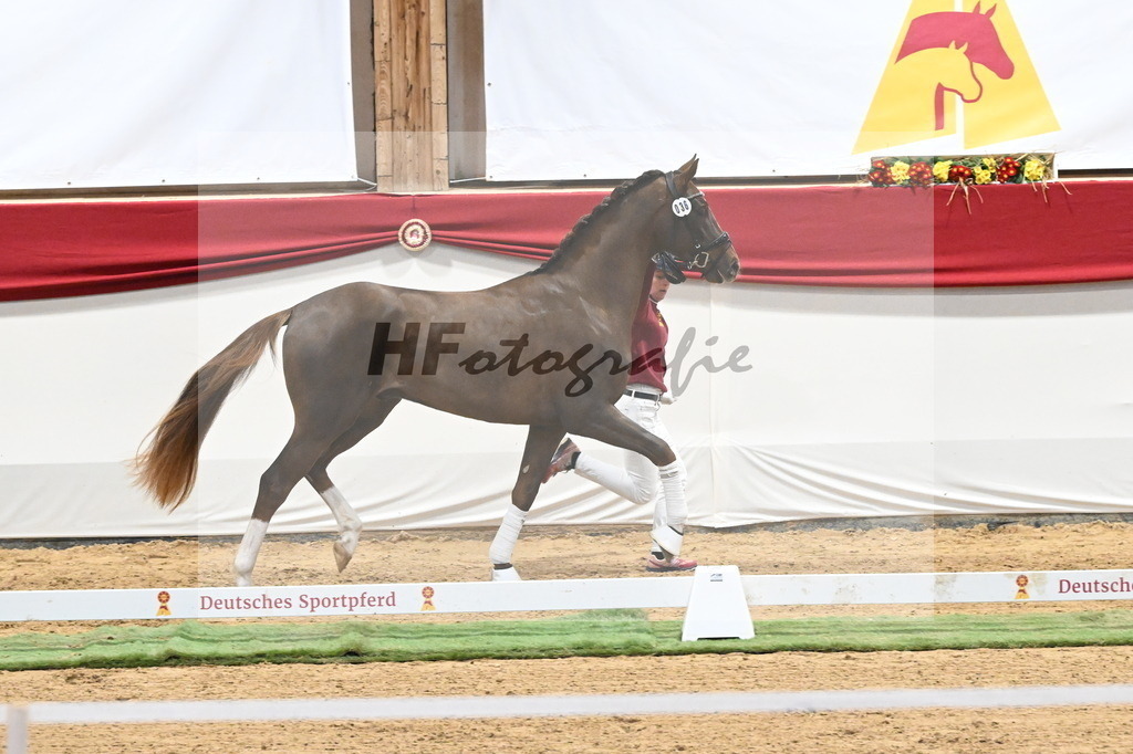Kat.-Nr. 36 v. Benicio_Galneder_3260199 | hf-fotografie - Realisiert mit Pictrs.com