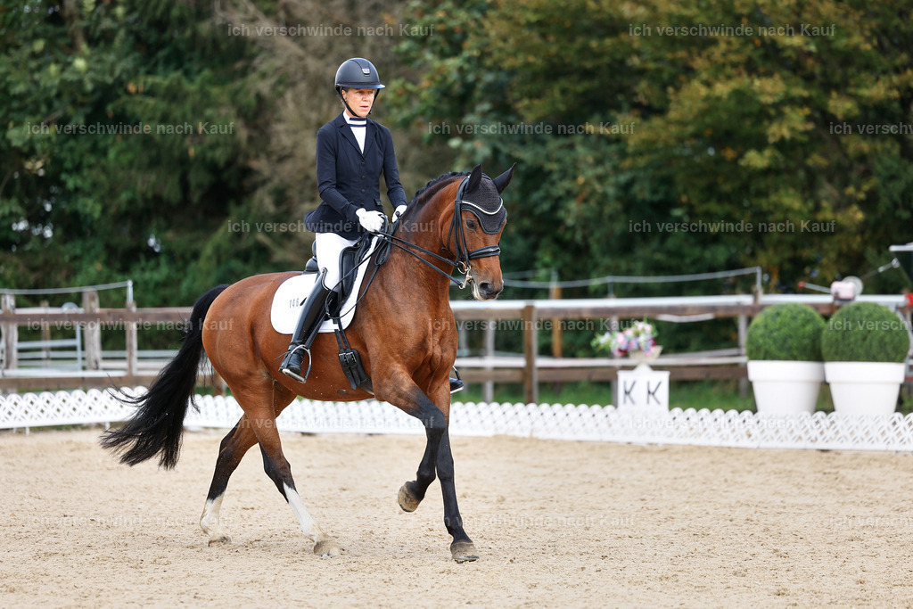 05-146-DRESSUR M_  -StoibPH-4941 | working equitationturnier fotograf videograf stoibphotography marixx film working equitation deutschland reitsport turnierfotografie eventfotografie equestrian events