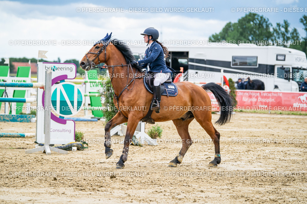 DSC06023 | Pferdegrafie