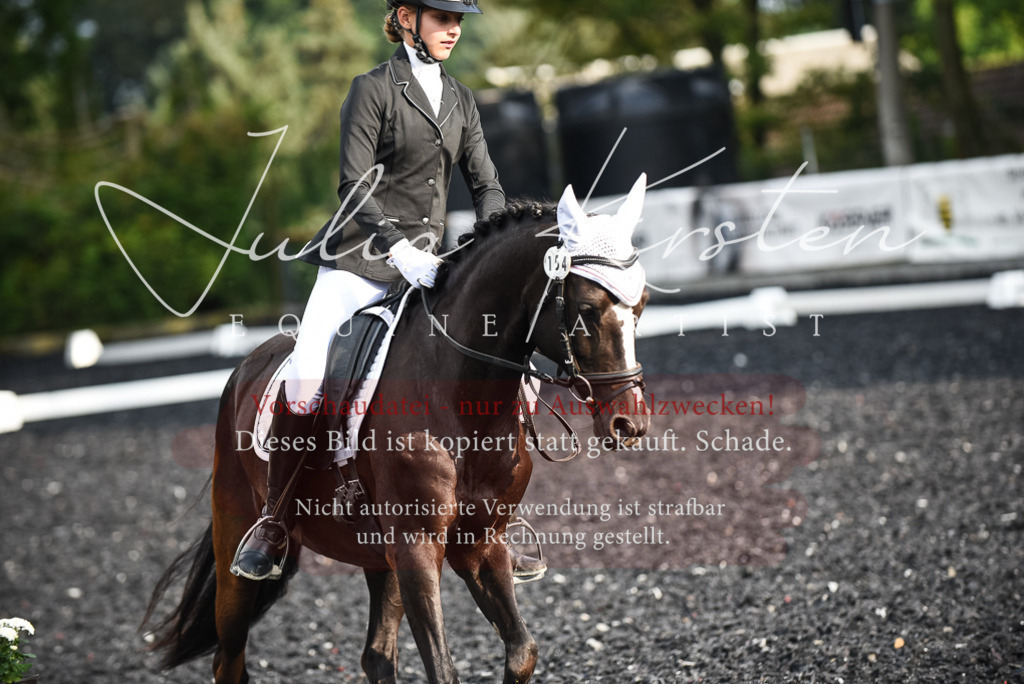 DSC_3410 | Pferde- und Turnierfotografie in Westsachsen. Pferdeportraits, Auftragszeichnungen und intuitive Kunst.