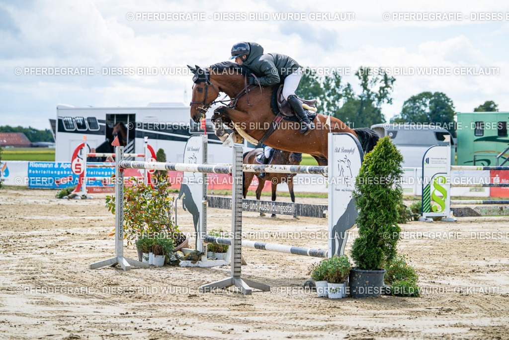 DSC05254 | Pferdegrafie