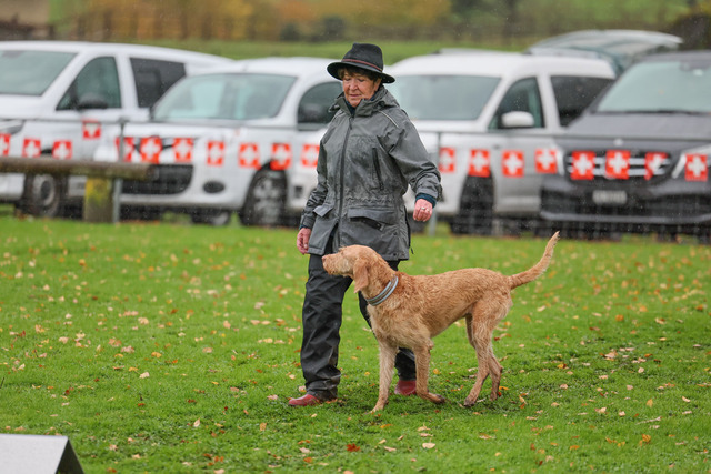 2025_Rally_Obedience_SM-230 | Ich fotografiere Hundeausstellungen, Sportanlässe, Zuchtstätten, Hundezucht, Hundeportrait, Lagotto - Realisiert mit Pictrs.com